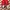 Justin Deakin Red Sneakers Pony Hair UK3 / EU 36 photo 4