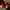 vans authentic red / red chili 24cm photo 4