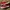 vans authentic red / red chili 24cm photo 2
