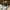 Nike Air Jordan 1 High Not New Balance Not Adidas Samba Not  photo 5