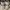Nike Air Jordan 1 High Not New Balance Not Adidas Samba Not  photo 6