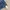 Season reason denim blouson photo 8