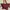 Youshine Fashion Leather Bag Burgundy/maroon