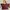 Youshine fashion leather bag burgundy/maroon photo 3