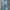 long pants jeans phoenix art photo 1
