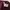 Hoodie maroon dickies 1992 photo 6