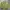Yves Saint Laurent YSL Vintage Casual Bomber jacket Pria green photo 2