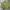 Yves Saint Laurent YSL Vintage Casual Bomber jacket Pria green photo 3