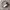 Adidas Stansmith photo 1