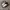 Adidas Stansmith photo 1