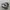 nike jordan photo 1