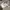 New Era Streetwear Sportswear Hat Pria white photo 4