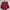 Celana Pendek Maroon photo 2