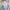 jersey liverpool away original photo 8