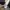 jersey liverpool away original photo 6