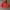 Nike ACG Orange Hoodie embroidered logo Red photo 1