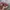 Y2k Sunglasses Oakley Fashion Color Block