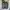 celana pendek army cargo jorts photo 1