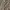 Nike ACG Snowgrass Cargo Shortpants photo 10