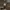 Nike ACG Snowgrass Cargo Shortpants photo 6