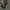 Nike ACG Snowgrass Cargo Shortpants photo 7