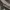 Nike ACG Snowgrass Cargo Shortpants photo 5