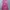 Dress Trendyol Pink Melar