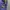 Fila Sportswear Sweatpants & Joggers Pria navy photo 3