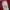 Adidas Casual Track jacket Pria red photo 4
