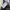 Nike Tearaway Button Trackpants photo 8