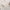 White Coquette Cottagecore Vintage Sleepgown Nightgown
