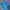 Sportswear Jersey Wanita Blue