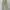 Covernat Fatigue Pants - Khaki, Like new condition photo 4