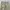 Covernat Fatigue Pants - Khaki, Like new condition photo 2