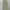 Covernat Fatigue Pants - Khaki, Like new condition photo 1