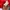 Sportswear Jersey Pria red photo 5