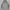Hodie evisu spell out bordir  photo 1
