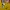 Kaos snoopy peanuts kuning photo 3