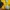 Kaos snoopy peanuts kuning photo 6