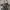 Dickies Casual Hoody Pria gray photo 2