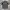 JERSEY LEE COQ SPORTIF photo 2