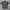 JERSEY LEE COQ SPORTIF photo 1