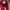 Nike Jordan Split Low photo 4