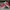 Nike Jordan Split Low photo 2