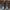 Dr Martens Monkey Boots Docmart MIT