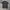 Kaos t-shirt fred perry contrast tappes whisky brown origina photo 3