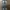 Jeans Fading Jiggy Gen photo 1