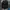 Guess LA Parka like y2k grunge emo goth vkei poem graphic photo 1