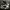 Nike Streetwear Sneakers Pria white black photo 1