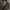 WW 2 Military Camo Jerman photo 1